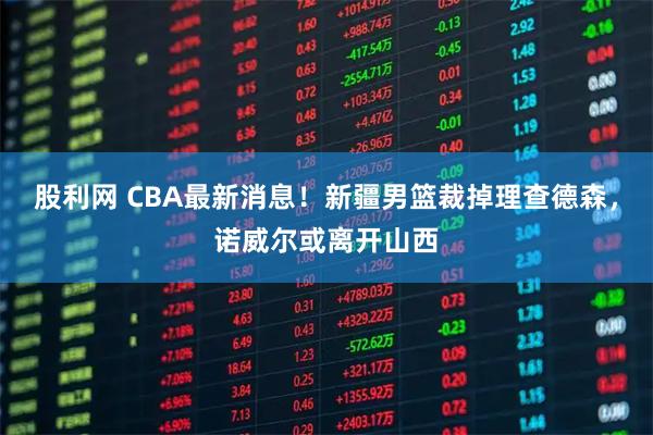 股利网 CBA最新消息！新疆男篮裁掉理查德森，诺威尔或离开山西