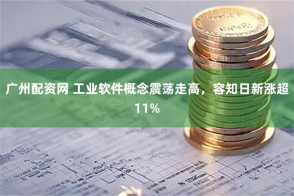 广州配资网 工业软件概念震荡走高，容知日新涨超11%